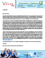 Daniel Wilder Prayer Letter: Blind Eyes Given Sight