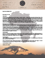 Montana Morrow Prayer Letter:  Tanzania Update