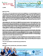 Daniel Wilder Prayer Letter: Learning to Lean on God's Understanding