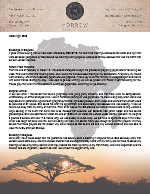 Montana Morrow Prayer Letter: Blessings in Disguise