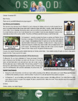 Charles and Lindsey Osgood Prayer Letter: Celebrating Our Church's 15-Year Anniversary!