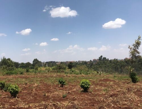 Purchasing Land in Kenya